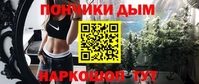 индика Можайск