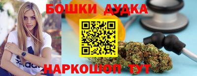 индика Можайск