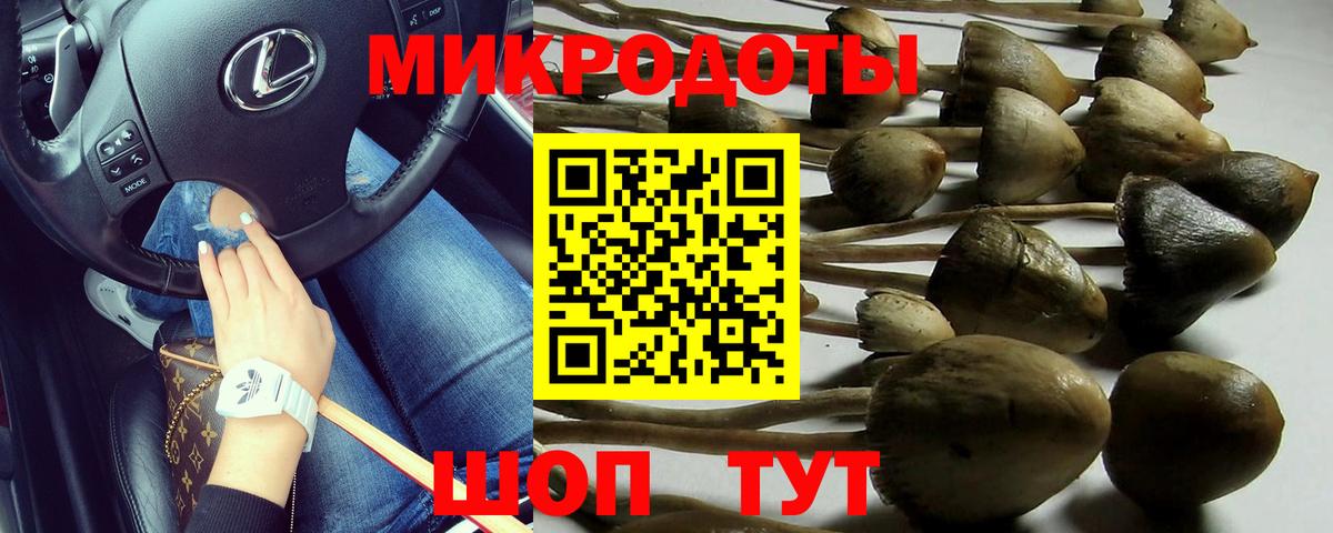 Галлюциногенные грибы MAGIC MUSHROOMS  Вход с VPN  Екатеринбург 
